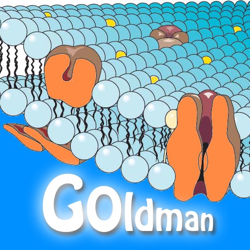 Goldman icon