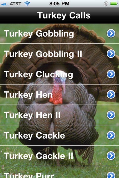 Pro Turkey Calls