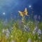 Take a journey through the Hidden Gardens in this beautiful hidden object adventure game