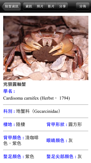 墾丁陸蟹趣 Crab Taiwan KT(圖2)-速報App