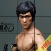 KungFu Puzzle Free