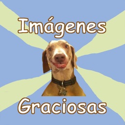 Imagenes Graciosas