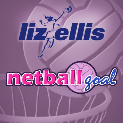 Netball Goal Icon