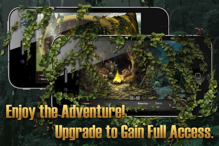 Hidden Objects: The Hunt