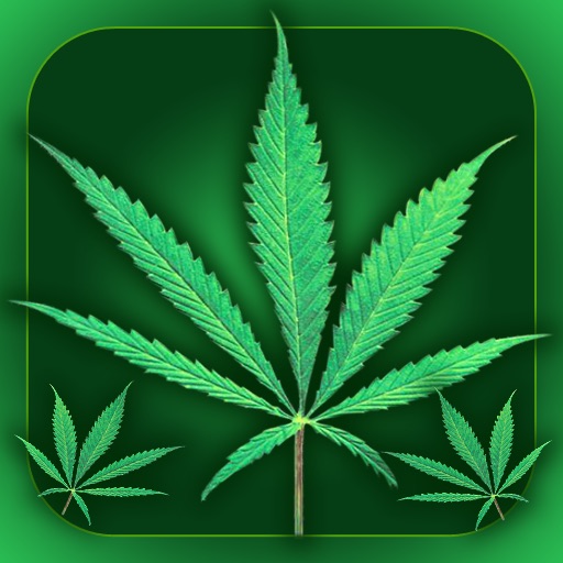 Weed Yo Screen iOS App