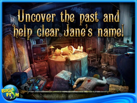 Reincarnations: Uncover the Past Collector's Edition HD (Full) screenshot 2