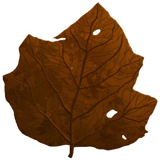 Leaf Blower icon