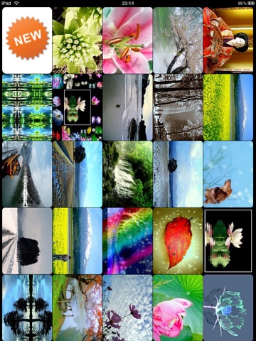 PhotoBuzz for iPad - Public Web Album Explorer screenshot 4
