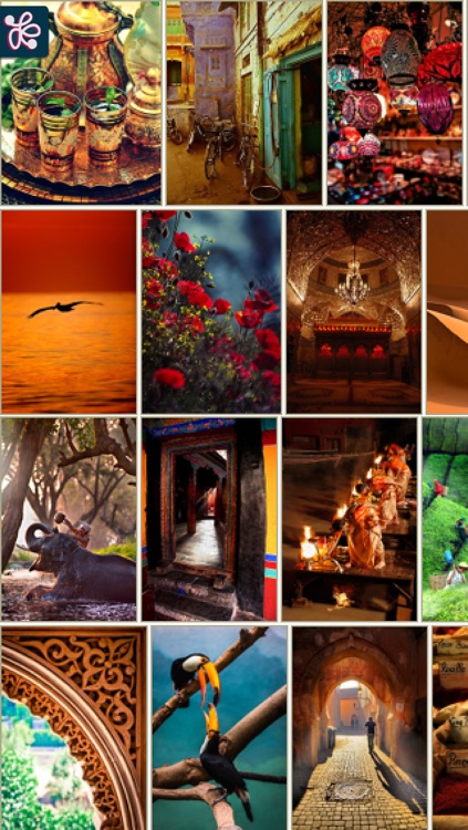 TumbleOn - Photo viewer for Tumblr images.