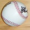 Search baseball historical statistics from the 1800's to the present