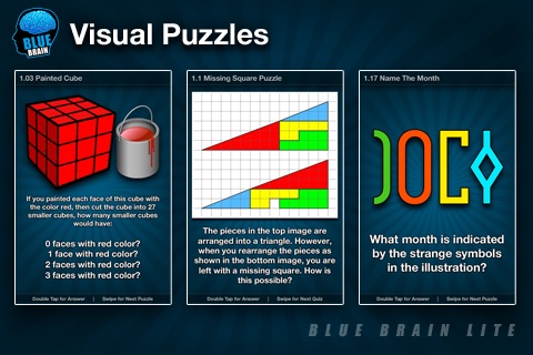 BlueBrain Lite screenshot 3