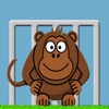 Monkey Trap