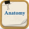 Anatomy Review