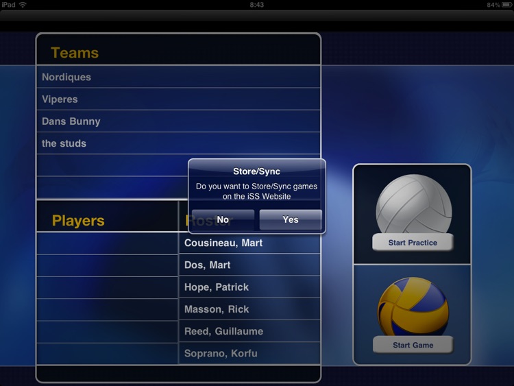 iSS Volleyball screenshot-3