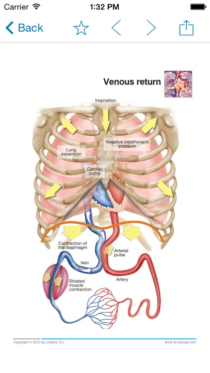 Miniatlas Cardiology screenshot-3