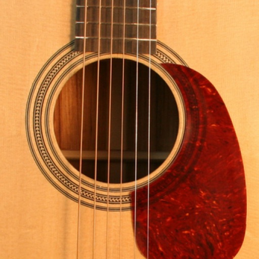 Guitar HD 1