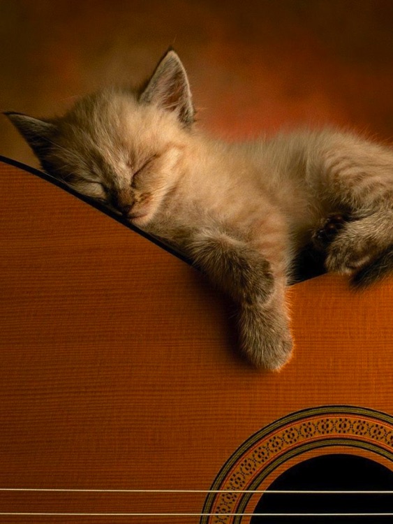 100,000+ Wallpapers HD Free for iPad