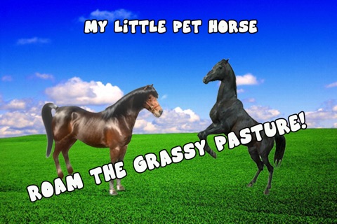A Little Pet Horse screenshot 3