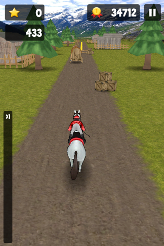 Crazy Horseback Riding Free screenshot 4