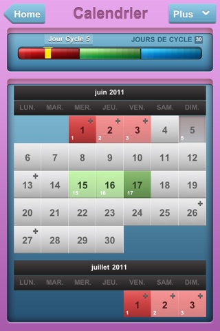 Period Pace: menstrual cycle log screenshot 2