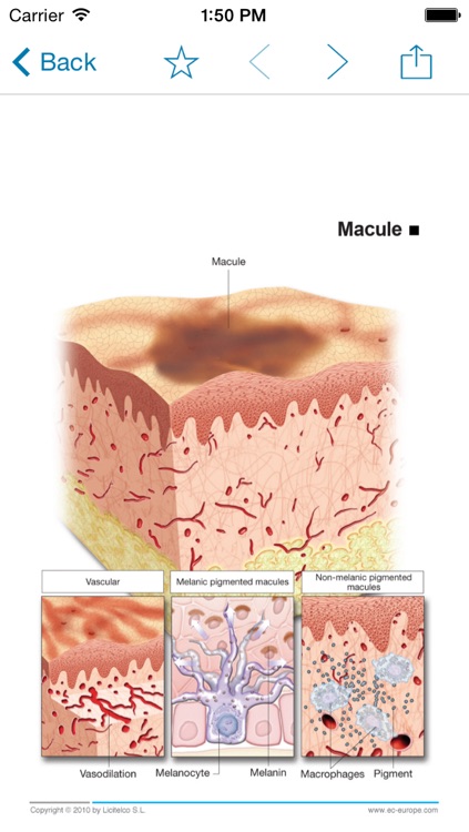 Miniatlas Psoriasis screenshot-3