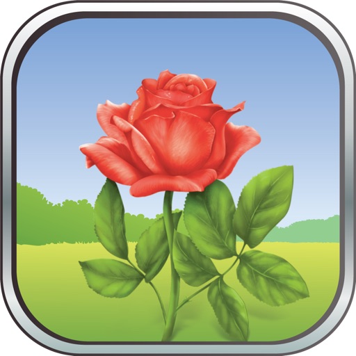 Colorful Flowers:  Puzzle game for everybody