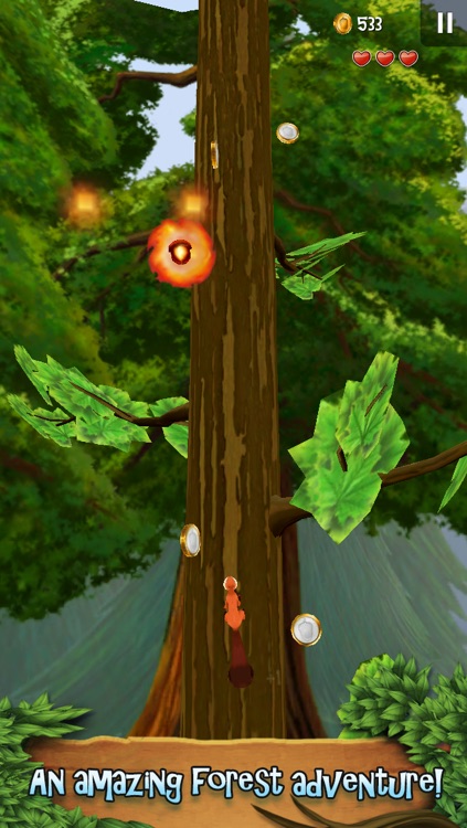 Nuts!: Infinite Forest Run