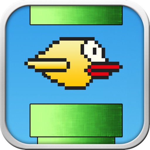 Bird Adventure - Furry Wings iOS App