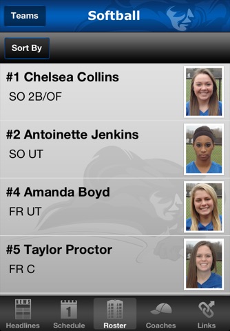 Lindsey Wilson Blue Raiders screenshot 2