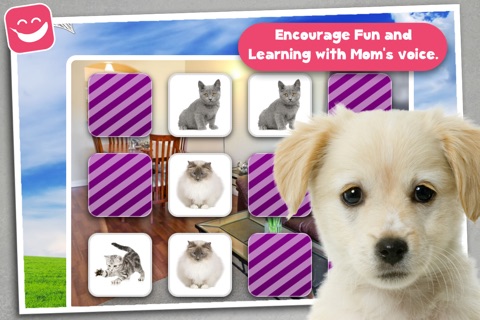 Memo Game Pets Photo for kids young childrens toddler screenshot 4