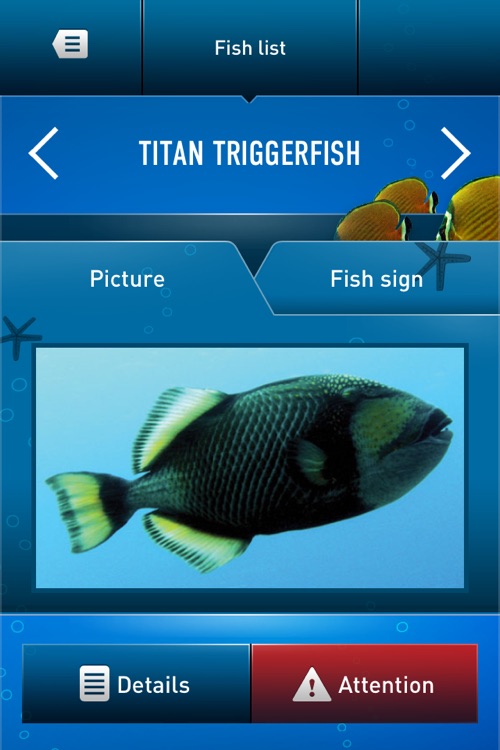 Dive Guide screenshot-3