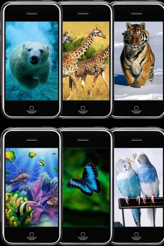 50,000+ Retina Wallpapers screenshot 3