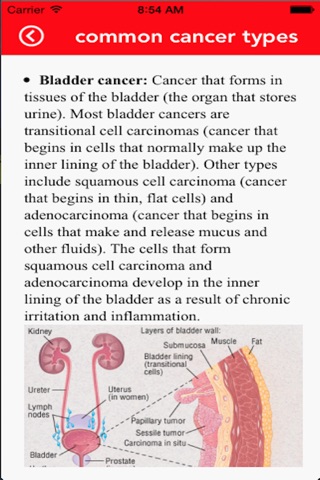 Cancer - A Brief Description screenshot 3