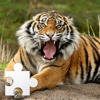 Wild Animal Puzzle 1.0