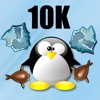 10K Penguin Marathon
