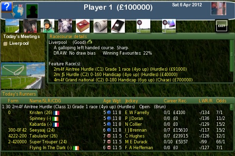Horse Racing World (jumps edition) screenshot 4