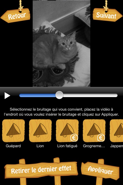 MyFélins - Montage vidéo et photo pour transformer votre chat en félin