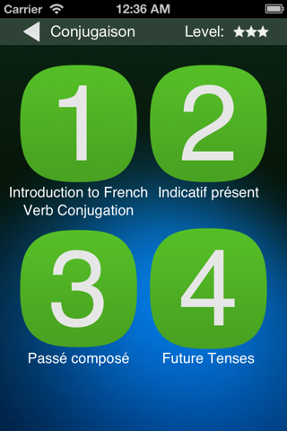 French Conjugation screenshot 2