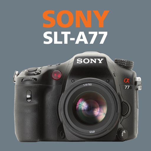 Sony A77 EasyApp icon