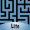 Tilt Maze is a fast and easy to play maze game