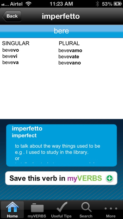 Berlitz 601 Italian Verbs.