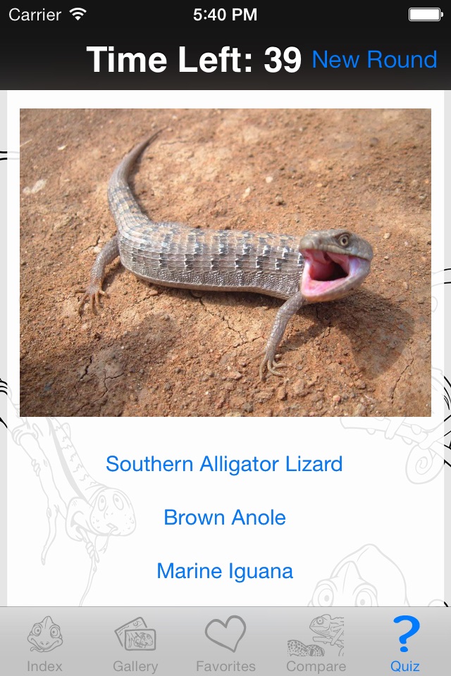 My Favorite Lizard screenshot 4