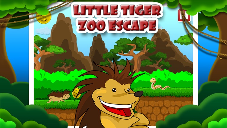 Elmo the Hedgehog - Tiny Little Animal Zoo Escape