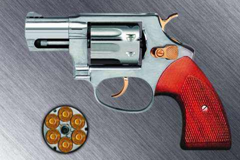 Revolver Firearms: Gun Shots App screenshot 2