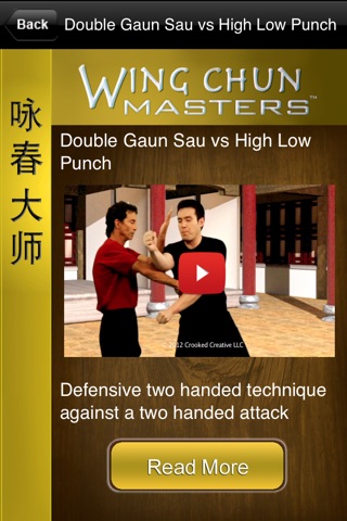 Wing Chun Masters 4 screenshot 2