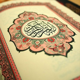 Holy Quran English