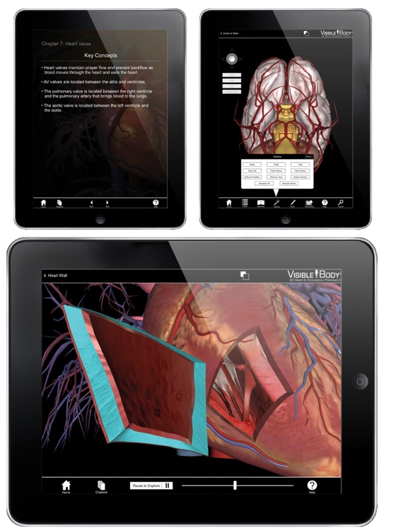 3D Heart & Circulatory Premium 2 screenshot-4