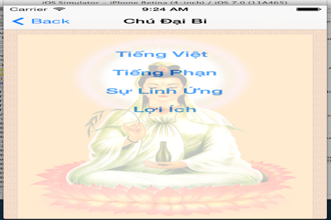 Chú Đại Bi và Thập chú. screenshot 2