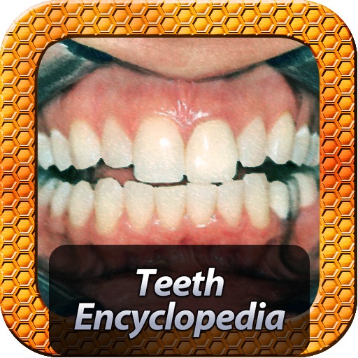 Teeth Encyclopedia st