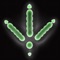 CritterCall is a iPhone/iPod Touch application for use as a wild game call, game call training aid, or just fun utility application